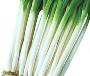 韭葱 LEEK